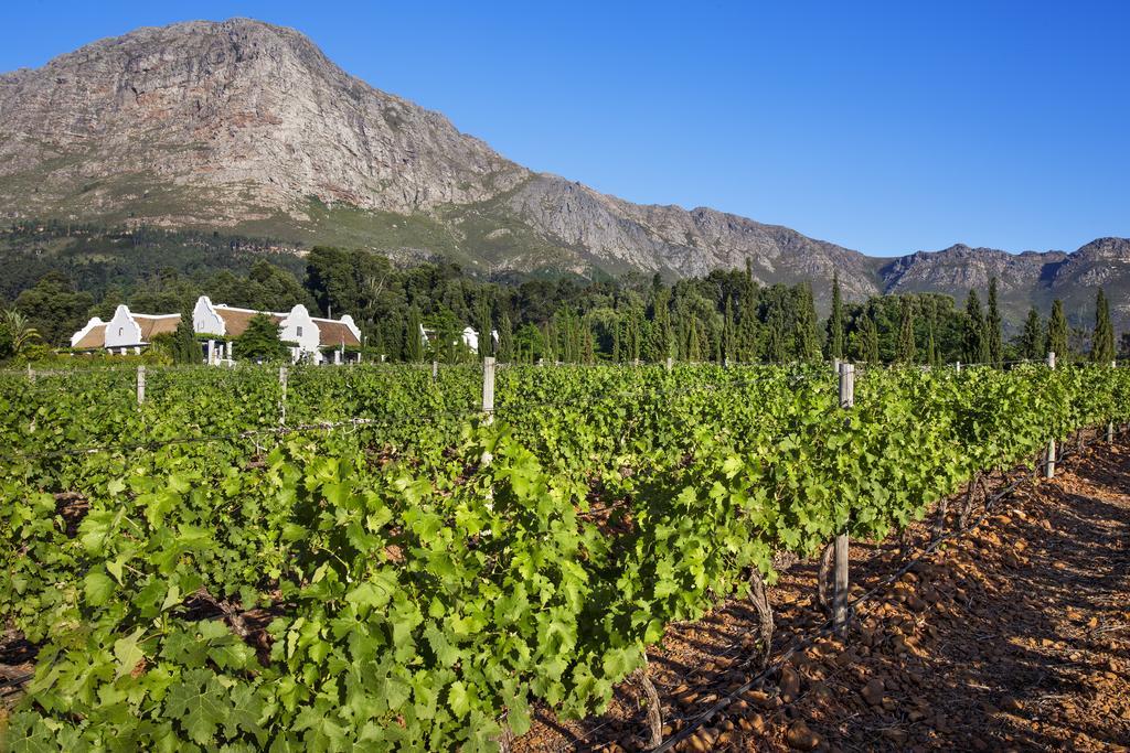 Hotel La Providence Franschhoek Esterno foto